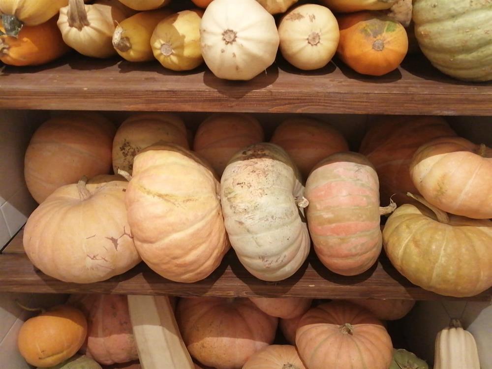 хранение тыквы